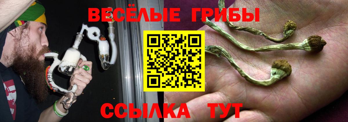 Богданович  купить  сайты  Вход с VPN  Псилоцибиновые грибы Cubensis 